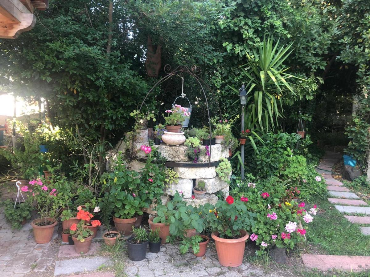 B&B Domo De Pedra Tottubella Zewnętrze zdjęcie