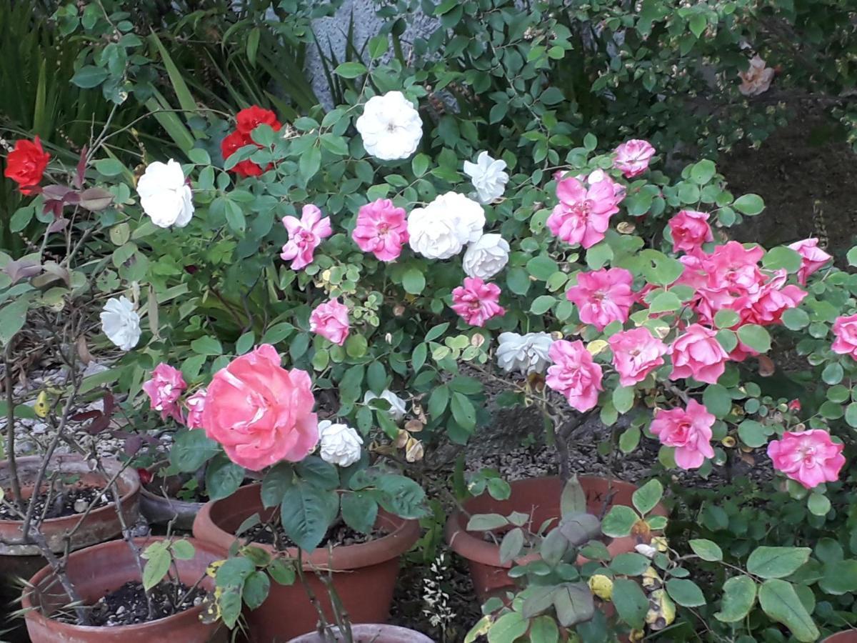 B&B Domo De Pedra Tottubella Zewnętrze zdjęcie